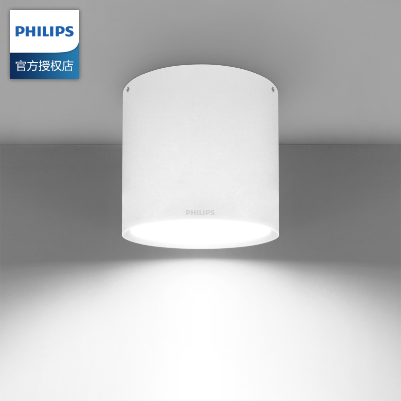 PHILIPS DN003C light including 12W/24W